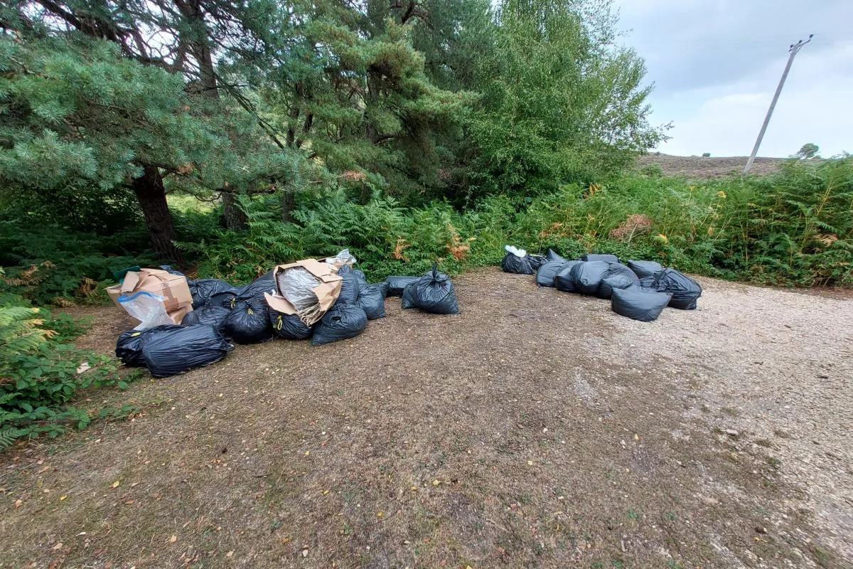 Weekly News Round-Up: Fly tipping, landfill reform and rising waste crime L&S Waste Management