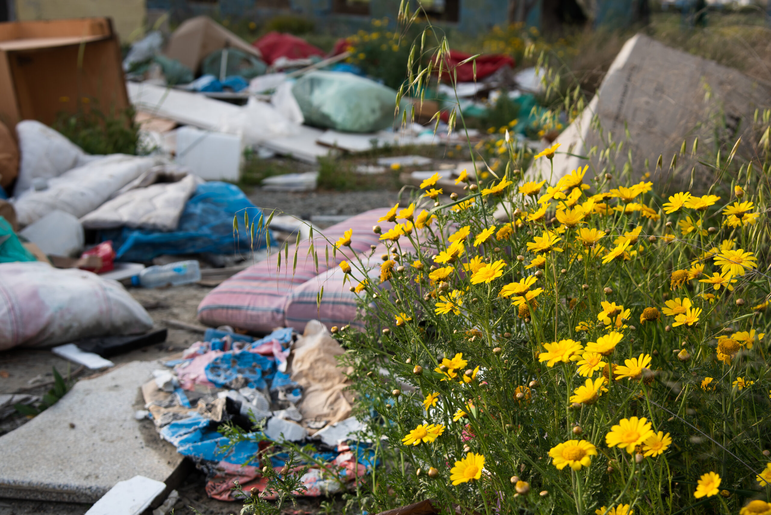 News Round-Up: Waste Crime, Policy Reform & Local Enforcement (Aug 2025) L&S Waste Management