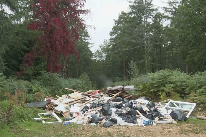 News Round-Up: Fly tipping, construction waste, and compliance under the spotlight (Oct 2025) L&S Waste Management
